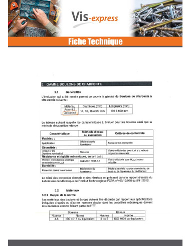 1 x Bullone (Venduto Con Dado) Telaio M16X180...