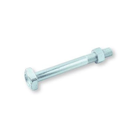 1 x Bullone (Venduto Con Dado) Telaio M20X250 Testa Quadrata 35X35X14 Zincate