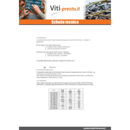 1 x Bullone (Venduto Con Dado) Telaio M20X250 Testa Quadrata 35X35X14 Zincate