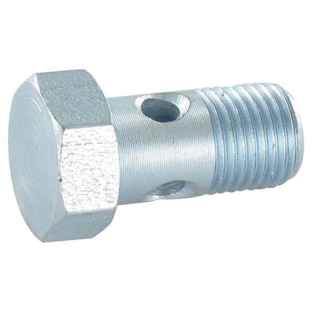 1 x Vite Cava Standard O Vite Banjo Testa Esagonale M10X19 Passo Fino Passo 100 Zincate