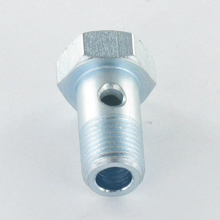 1 x Vite Cava Standard O Vite Banjo Testa Esagonale M10X19 Passo Fino Passo 100 Zincate