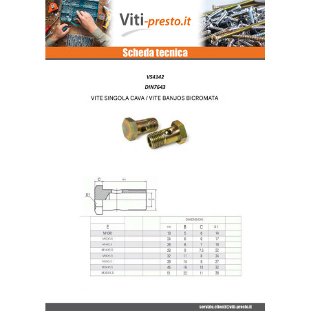 1 x Vite Cava Standard O Vite Banjo Testa Esagonale M10X19 Passo Fino Passo 100 Zincate