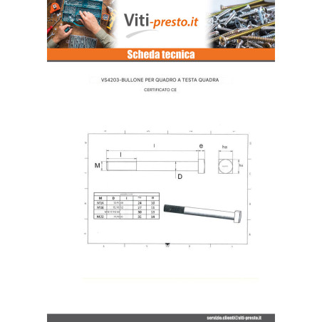 1 x Bullone (Venduto Con Dado) Telaio M18X200 Testa Quadrata 30X30X13 Zincate