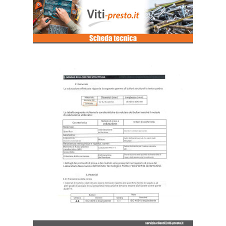 1 x Bullone (Venduto Con Dado) Telaio M18X200 Testa Quadrata 30X30X13 Zincate