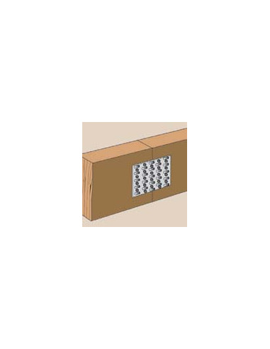 1 x PIATTO con CHIODO Sendzimir 106X100