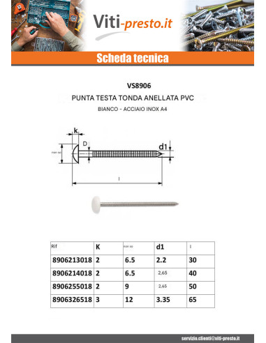 1 x Chiodo ANELLATO Testa PLASTIFICATO 2,5X50...
