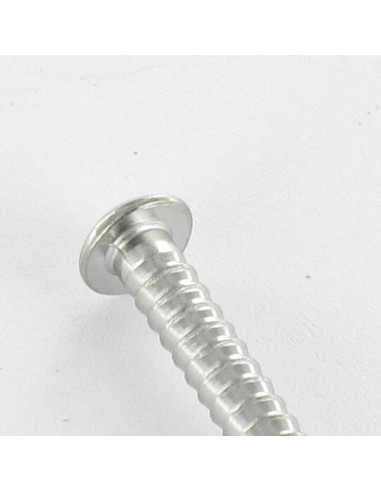 1 x Kg di chiodo Acciaio Inox A4 Testa Poelier...