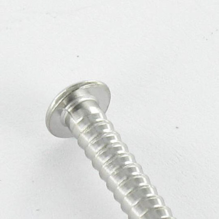 1 x Kg di chiodo Acciaio Inox A4 Testa Poelier ANELLATO 2,5X60
