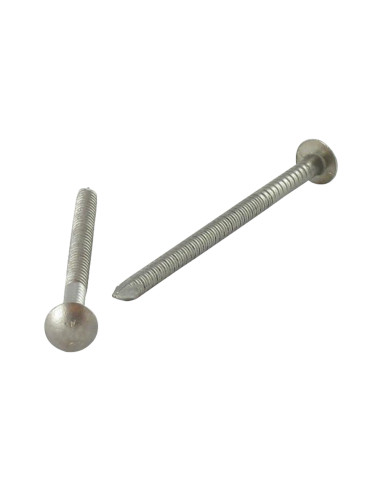 1 x Kg di chiodo Acciaio Inox A2 Testa Poelier...