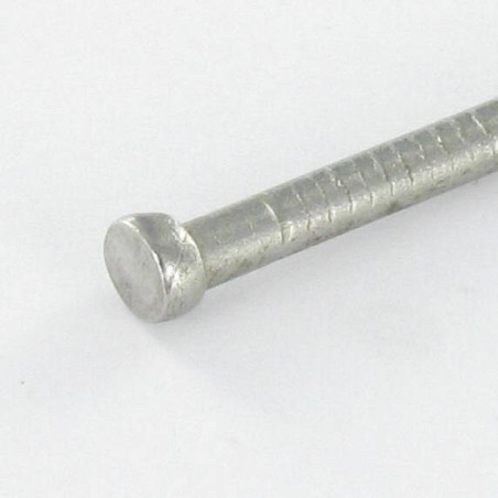 1 x Kg di chiodo Testa Maschio Lunghezza 30 Diametro 1.5 Acciaio Inox A2