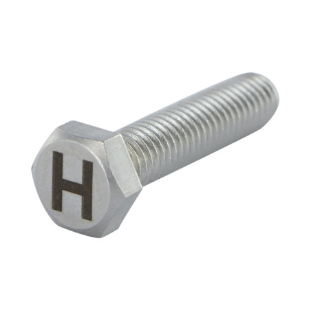1 x Vite Per Metalli Testa Esagonale 8X35 Acciaio Inox A4 con incisione di lettere "H"
