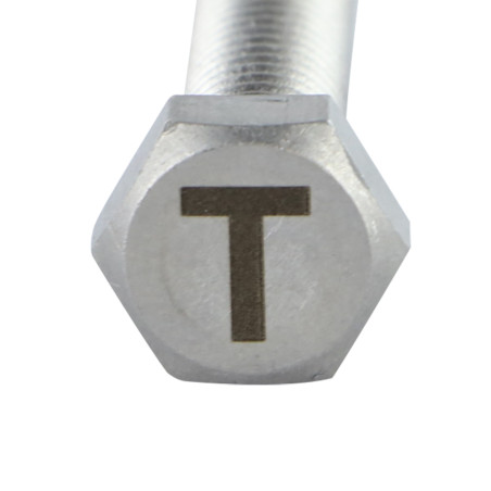 1 x Vite Per Metalli Testa Esagonale 8X35 Acciaio Inox A4 con incisione di lettere "T"