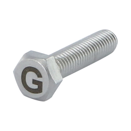 1 x Vite Per Metalli Testa Esagonale 8X35 Acciaio Inox A4 con incisione di lettere "G"