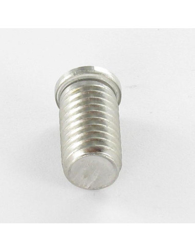 1 x Vite Prigioniera A Saldare Acciaio Inox A2...