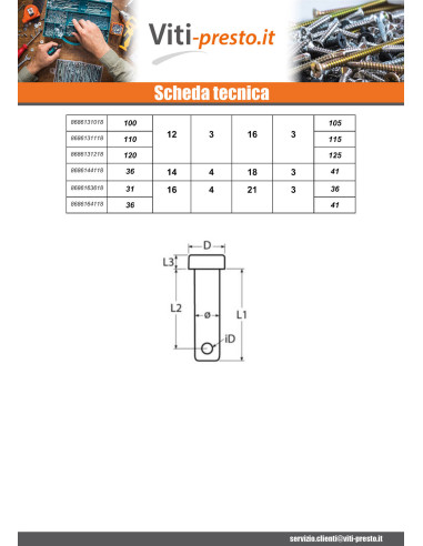 1 x Pasadores Testa Piatta 4X20 Forata 2...