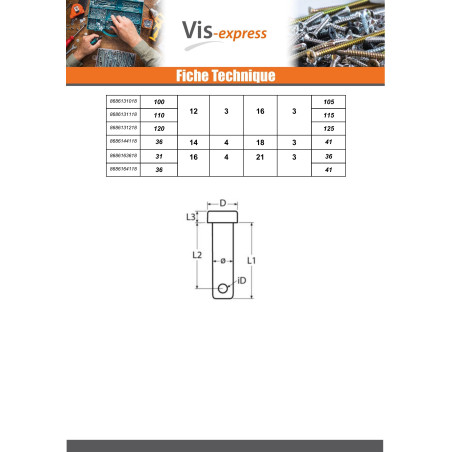 1 x Pasadores Testa Piatta 12X32 Forata 3 Acciaio Inox A4