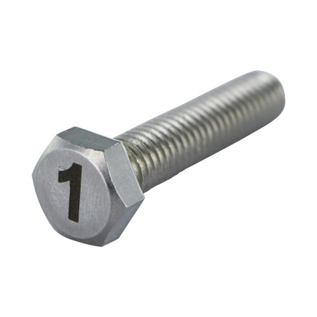 1 x Vite Per Metalli Testa Esagonale 8X35 Acciaio Inox A4 Lettera Di Incisione FIGURA 1