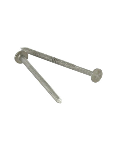 1 x Kg di chiodo Anello Di Sicurezza Testa...