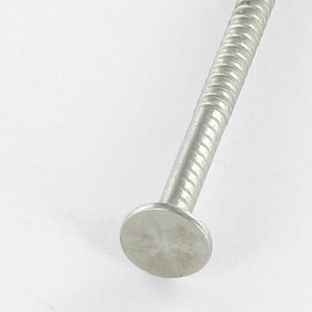 1 x Kg di chiodo Anello Di Sicurezza Testa Piatta Lunghezza 45 Diametro 2.2 Acciaio Inox A2