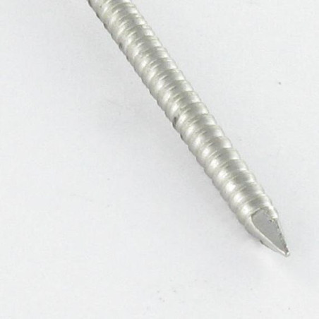 1 x Kg di chiodo Anello Di Sicurezza Testa Piatta Lunghezza 45 Diametro 2.2 Acciaio Inox A2