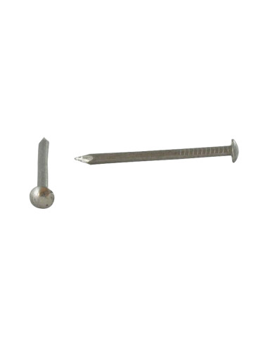 1 x Kg di chiodo Acciaio Inox A2 Testa Poelier...
