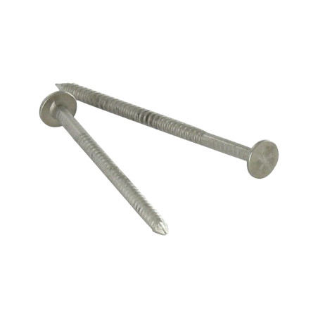 1 x Kg di chiodo Anello Di Sicurezza Testa Piatta 30 Diametro 2.3 Acciaio Inox A2