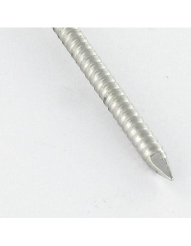 1 x Kg di chiodo Anello Di Sicurezza Testa...