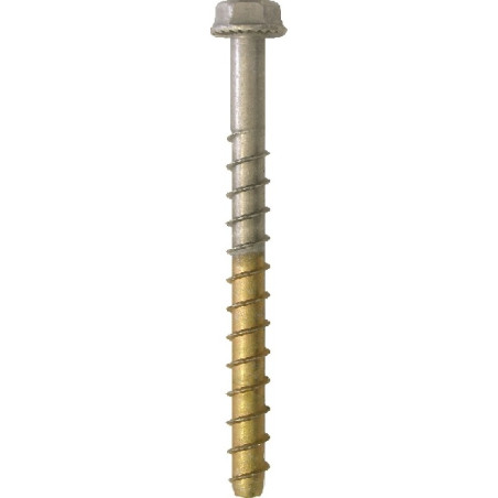 1 x Vite Calcestruzzo Bimetallo Acciaio Inox A4 Acciaio Grezzo Testa Esagonale 10X100
