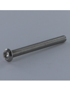 Vite Per Metalli Testa Bombata T20 M4X12 Discussione...