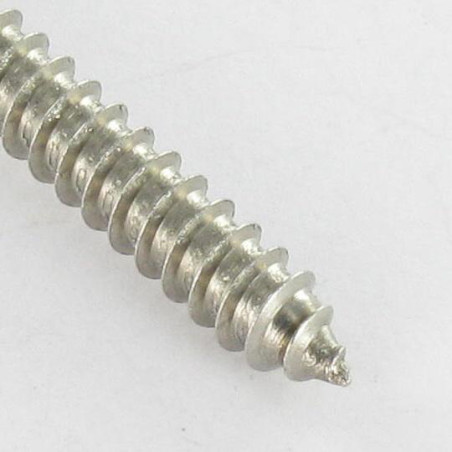 1 x Vite Per Lamiera A Esagono Incassato Acciaio Inox A2 4,8 x 38