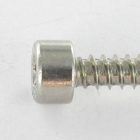 1 x Vite Per Lamiera A Esagono Incassato Acciaio Inox A2 4,8 x 38