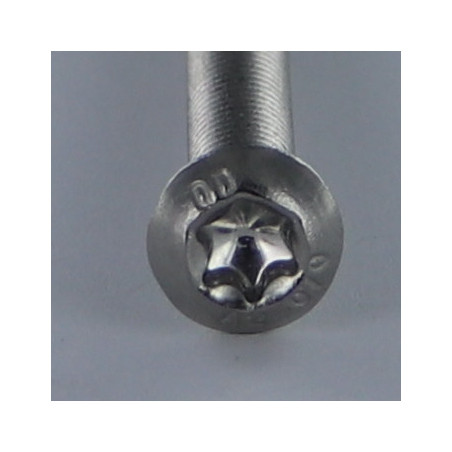 1 x Vite Per Metalli Testa Bombata T40 M8X14 Discussione completa Acciaio Inox A2