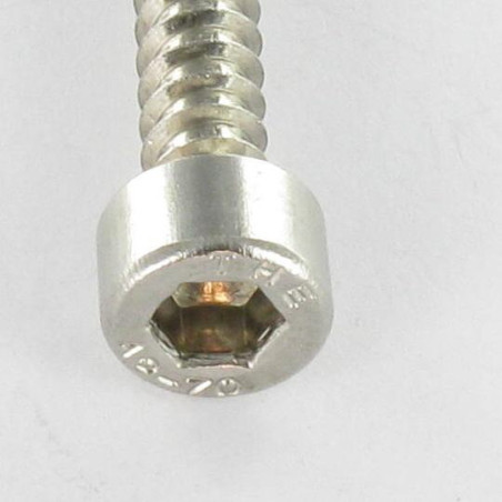 1 x Vite Per Lamiera A Esagono Incassato Acciaio Inox A2 4,8X32