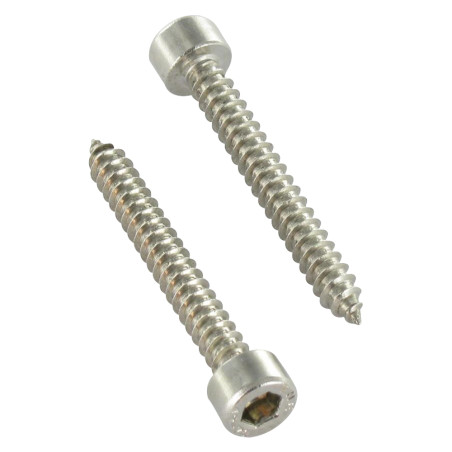 1 x Vite Per Lamiera A Esagono Incassato Acciaio Inox A2 4,8X45