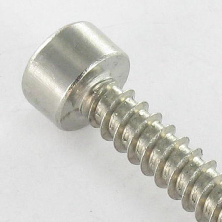 1 x Vite Per Lamiera A Esagono Incassato Acciaio Inox A2 4,8X45