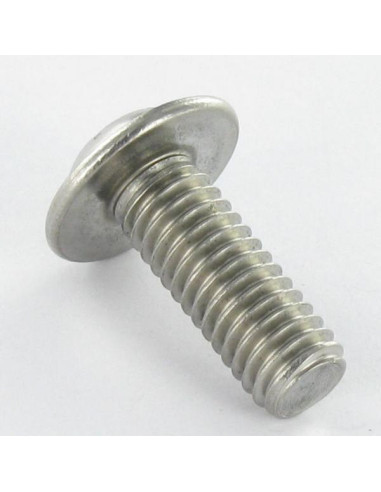 1 x Vite Per Metalli Testa Bombata Flangia T30...