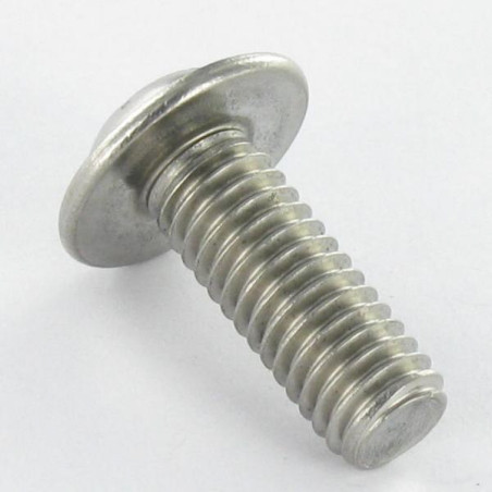 1 x Vite Per Metalli Testa Bombata Flangia T40 M8X20 Discussione completa Acciaio Inox A2