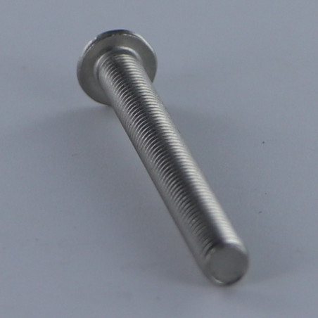 1 x Vite Per Metalli Testa Bombata T25 M5X14 Discussione completa Acciaio Inox A2