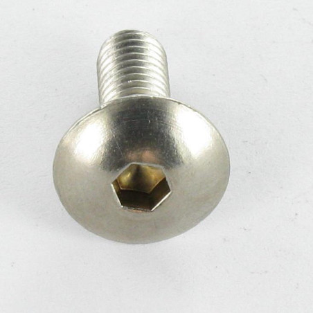 1 x Vite Per Metalli Testa Poelier Larga Chiave Esagonale Da 4 M6X30 Acciaio Inox