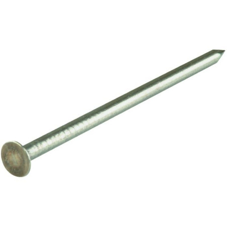 1 x Kg di chiodo Acciaio Inox A2 Testa Piatta 2.0X15