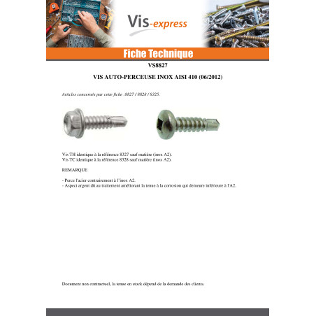 1 x Vite Autoperforante Testa Esagonale 6,3X25 Acciaio Inox Aisi 410
