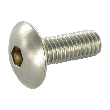 1 x Vite Per Metalli Testa Poelier Larga Chiave Esagonale Da 4 M6X16 Acciaio Inox