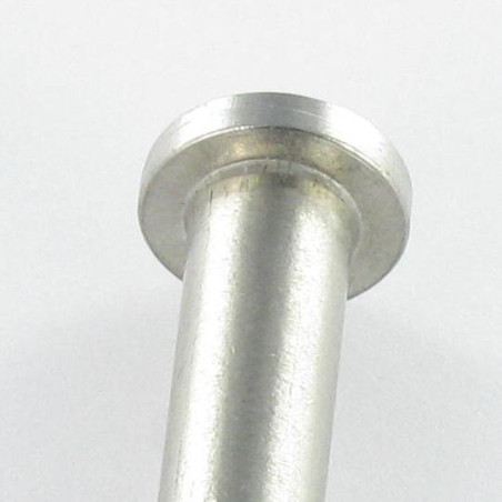 1 x Pasadores Testa Piatta 6X20 Forata 2.5 Acciaio Inox A4