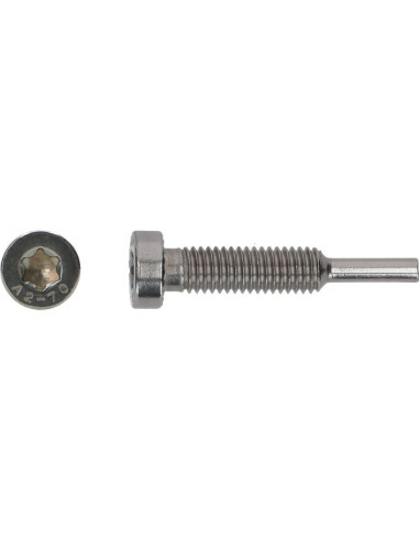1 x Vite Pinze SOLARE M8X43 Acciaio Inox A2