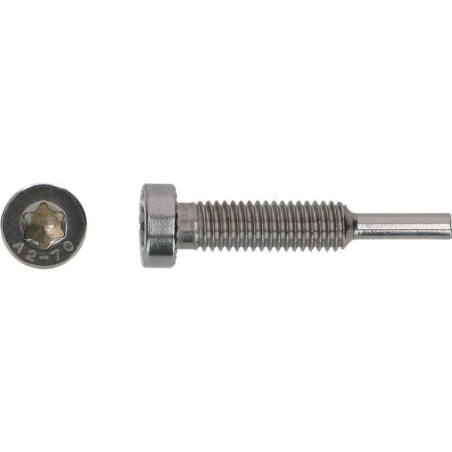 1 x Vite Pinze SOLARE M8X43 Acciaio Inox A2