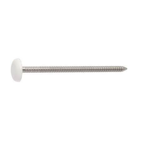 1 x Chiodo ANELLATO Testa PLASTIFICATO 2,1X30 Acciaio Inox A4