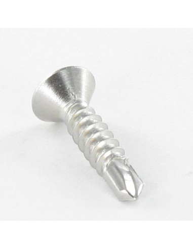 1 x Vite Autoperforante Acciaio Inox A2 Testa...