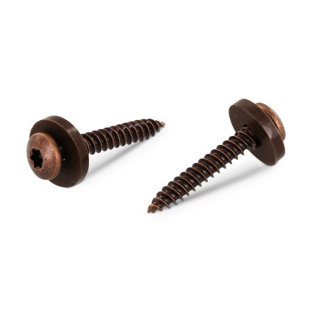 1 x Vite Per Lamiera Testa Cilindrica T15 + Rondella Nylon 3,9X19 Acciaio Inox A2 Marrone