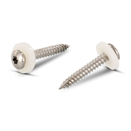 1 x Vite Per Lamiera Testa Cilindrica T15 + Rondella Nylon 3,9X16 Acciaio Inox A2 Naturale