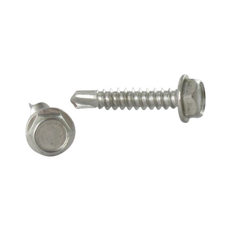 1 x Vite Autoperforante Testa Esagonale 3,9X19 Acciaio Inox A2